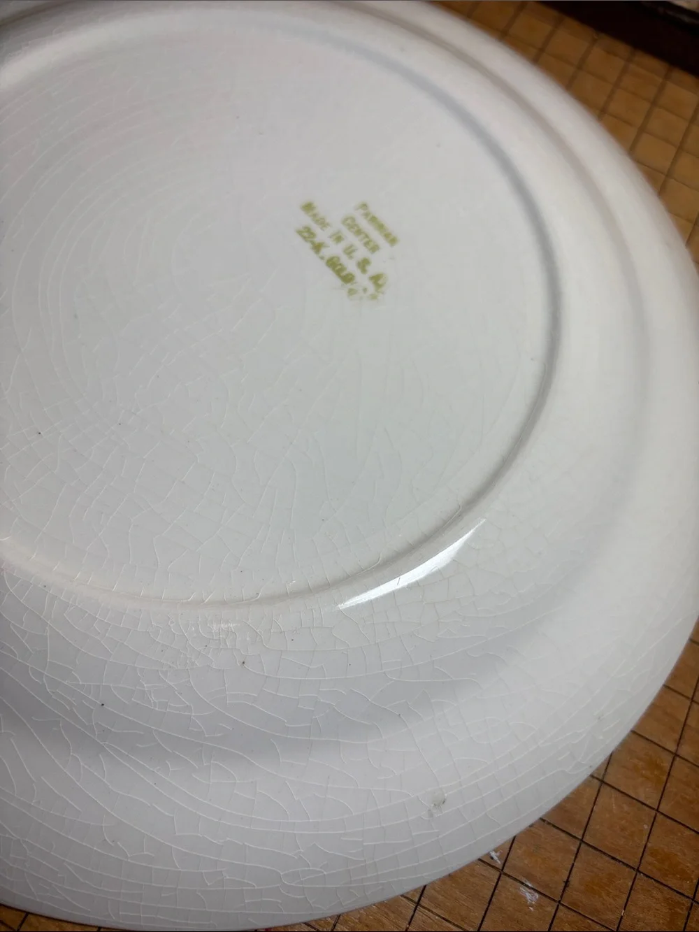 Pair Parisian Center Dinner Plates 10 1/8”D Made USA 22K Gold Pattern Rim Floral